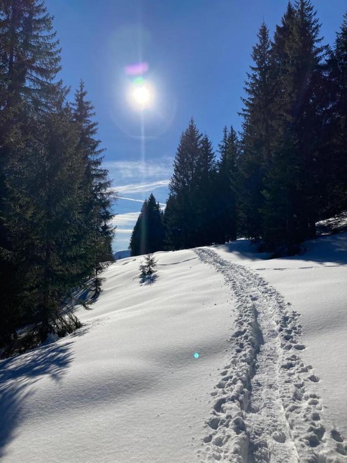 Apartment Kumitzblick Obersdorf المظهر الخارجي الصورة
