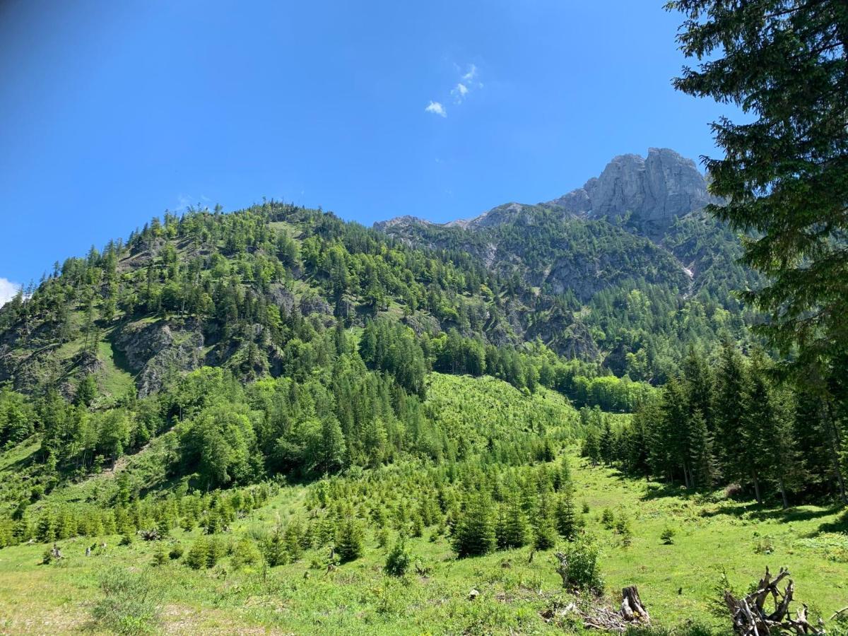Apartment Kumitzblick Obersdorf المظهر الخارجي الصورة